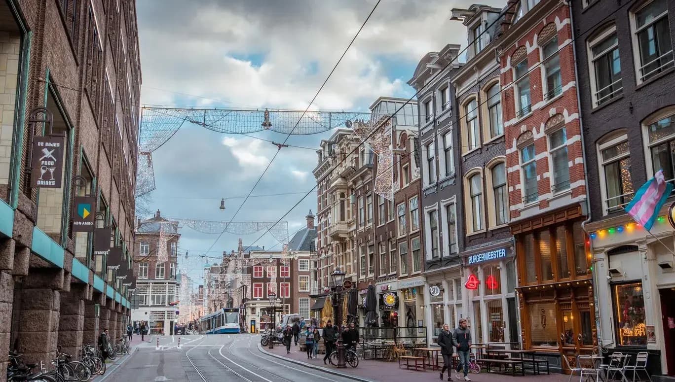 City Tours