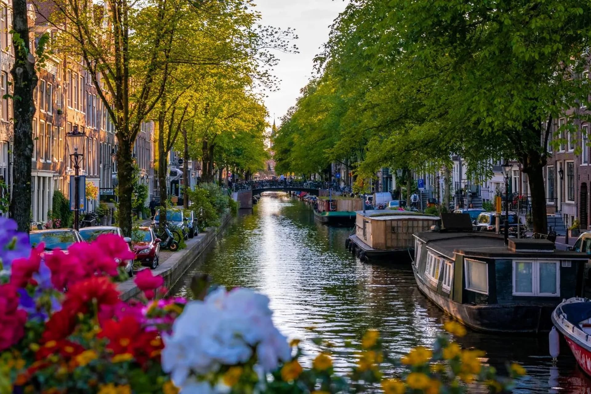 Things to Do in Amsterdam